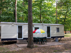 Holiday Home Oostappen Vakantiepark Arnhem-6